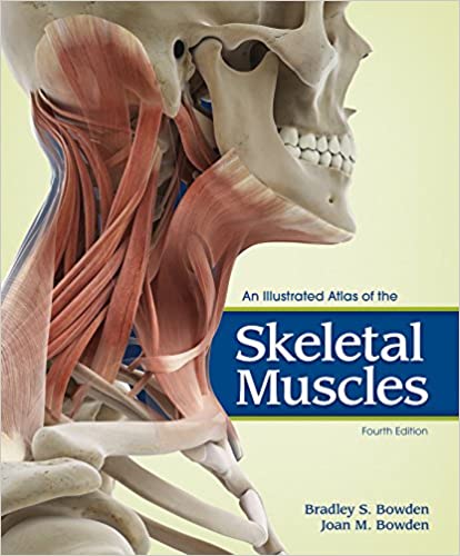 An Illustrated Atlas of the Skeletal Muscles (4th Edition) - Image Pdf with Ocr